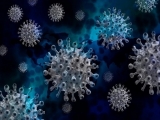 Health News Roundup: Thailand reports record 23,557 new coronavirus cases; Lethal bird flu hits Delaware poultry farm with 1.2 million birds -state and more