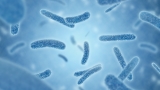Maine CDC investigates 4 cases of Legionnaires’ disease