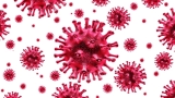 US CDC concerned for new Omicron subvariants