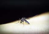 Health News Roundup: WHO backs malaria vaccine rollout for Africa’s children in major breakthrough; Pfizer study to vaccinate whole Brazilian town against COVID-19 and more
