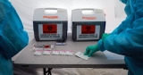 The Coronavirus Has Infected More Than Half of Americans, the C.D.C. Reports