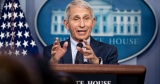 Fauci clarifies that the pandemic isn’t over, after saying the U.S. is out of the ‘pandemic phase.’