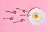 Best Male Fertility Supplements -Top Pills to Increase Sperm Count