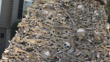Global health advocates bring pile of bones to Biden chief of staff, Moderna CEO – KATU