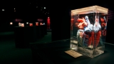 'BODIES, The Exhibition' to debut special displays on World Health Day – News3LV