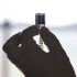 CDC advisory group urges action on vaccine booster for immune-compromised people