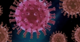 Palau loses virus-free status with first COVID cases