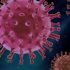 CDC says no need for 14 day waiting period between COVID, other vaccinations