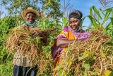 We need food, not tobacco – focus of the World No Tobacco Day 2023