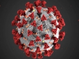 Health News Roundup: Japan set to expand the state of emergency as Delta variant spreads; NRA gun lobby cancels annual U.S. meeting, citing COVID-19 surge and more