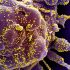 CDC finds COVID-19 vaccination rate in young children relatively low (NASDAQ:BNTX) – Seeking Alpha
