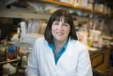 CDC steps up wastewater COVID-19 tracking – Sandusky Register