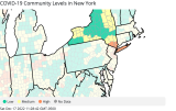 Report: CDC recommends masks in public spaces in New York City due to COVID-19; 10 counties on the list