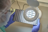 New COVID-19 treatments are free, can help Puebloans avoid hospital