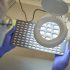 Dane County drops to medium levels of COVID-19, according to CDC