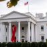 WHO makes new recommendations for Ebola treatments