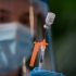 Dueling reports paint differing pictures of U.S. abortion rate prior to Roe reversal