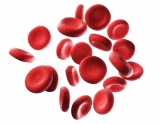 Global hemoglobin cut-off to define anemia overestimates disease burden in Indian children