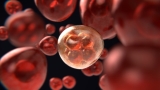 One million children lose mother to cancer a year: research
