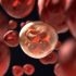 WHO says COVID-19 is still a global health emergency By Reuters