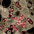 California coronavirus updates: New AP-NORC poll shows majority of Americans want masking on planes, trains and public transportation