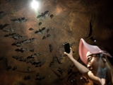 A 2019 video shows scientists from the Wuhan CDC collecting samples in bat caves