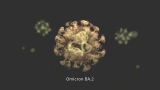 Omicron subvariant BA.2 is rising. What do we know about it?