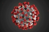 US CDC recommends unvaccinated tourists avoid Israel amid COVID spike
