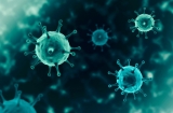 New COVID variant detected in South Africa, most mutated variant so far