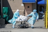 Covid US: New CDC Forecast Predicts Deaths Will Decline To As Few As 3,900 Weekly Fatalities By Nov