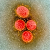 Hydrogen therapy may help severely ill COVID-19 patients