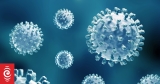 Covid-19: XBB.1.5 variant detected in New Zealand