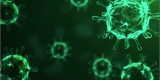 Influenza rates rise sharply in Maine
