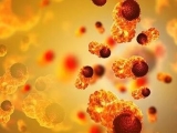 Possible Cancer Breakthrough: Vaccine Developed by Mount Sinai Yields Complete Remission in Early Tests | Joel Eisenberg