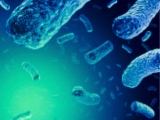 CDC: Listeria found in six states—is your state one of them? | The Modern Times