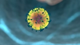 Australians not yet boosted urged to take up third dose, as COVID-19 cases rise