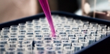 Five ways to tackle ignorance about evidence during and after the COVID-19 pandemic