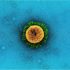 CDC advisory group recommends extra shot for immunocompromised patients