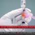 WHO honours Henrietta Lacks, whose cells changed medicine | Health News