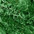 Health News Roundup: Monkeypox cases and deaths around the world; China’s Tibet region faces rare COVID flareup, fresh curbs imposed and more