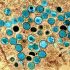 Wastewater surveillance has become a critical COVID tracking tool, but funding is inconsistent