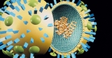 Could a flu-COVID ‘twindemic’ come to Florida this winter?