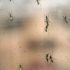 FDA Recognizes National Immunization Awareness Month