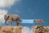 The CDC can't be apolitical on COVID. Politics are inherent to public health. – Slate
