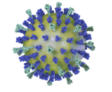 Promising RSV Vaccine Candidate Raises Hopes