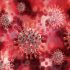 Is new malaria vaccine ‘world-changing’? Maybe. | News