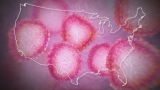 Health News – CDC Disease Forecasting Center – News 40 – wnky.com