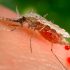 Equalum CDC Connect embeds change data capture and streaming