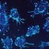 CDC tracking new, potentially dangerous COVID variant – NBC Montana