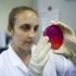 Water Cure: Florida Company Sued Over False Marketing Claims Relating To Health Benefits Of Hydrogen-Enriched Water – Food, Drugs, Healthcare, Life Sciences